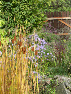 2020-10-03 Gartenimpressionen 30.jpg