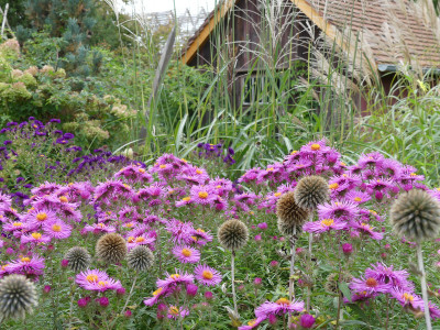2020-10-03 Gartenimpressionen 34.jpg