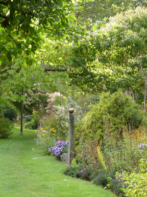2020-10-03 Gartenimpressionen 36.jpg