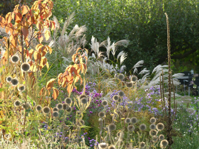 2020-10-03 Gartenimpressionen 38.jpg