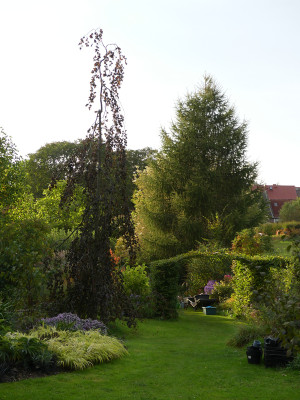 2020-10-03 Gartenimpressionen 40.jpg