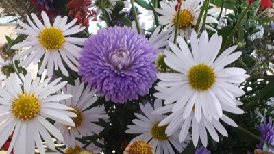 20201004_111228.jpg