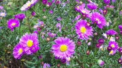 20201004_104145.jpg