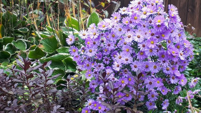 20201004_104001.jpg