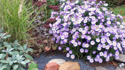 20201004_103322.jpg
