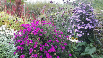 20201004_102740.jpg