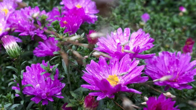 20201004_103059.jpg