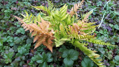 20201004_105744.jpg