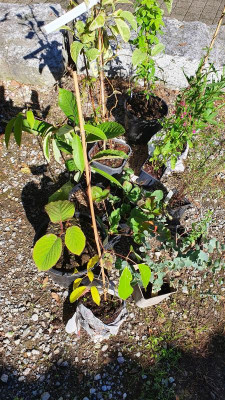 20201004_125205.jpg
