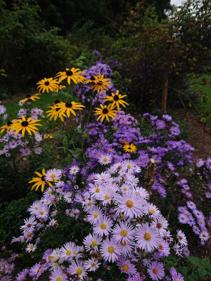 DSC_5249.JPG