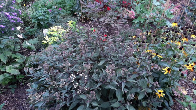 20201004_160430.jpg