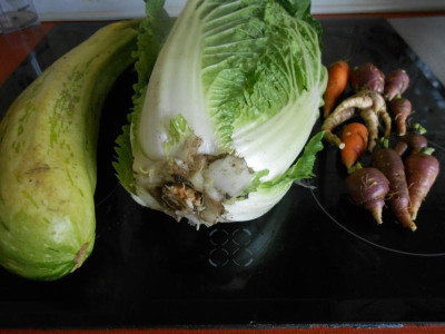 DSCN0874.JPG