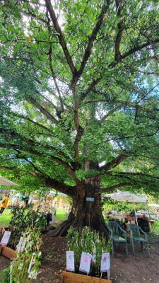 20201003_132047.jpg