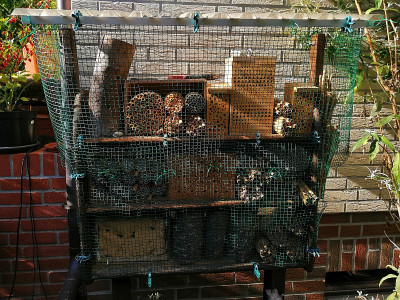 IMG_20201004_143614_Wildbienenhaus.jpg