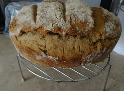 brot01.jpg