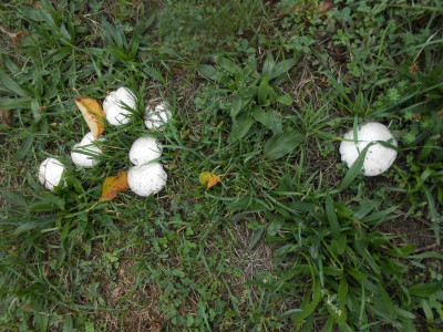 DSCN0879.JPG