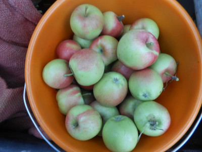 DSCN0885.JPG