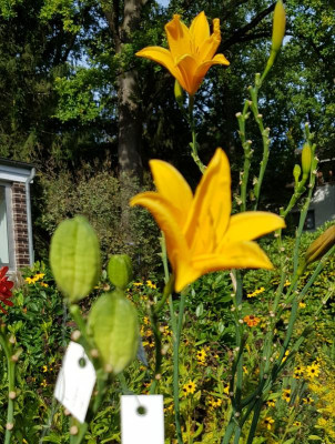 20201004_004627.jpg