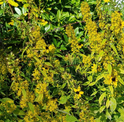 20201002_191934.jpg