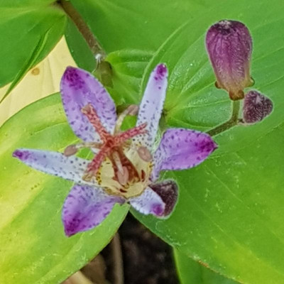 20201002_192209.jpg