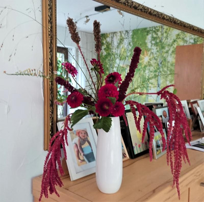 Amaranthus 2.JPG