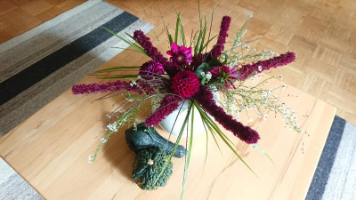 Amaranthus 1.JPG
