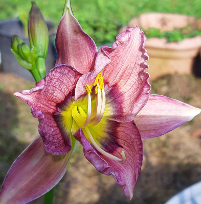 20201006_154022.jpg