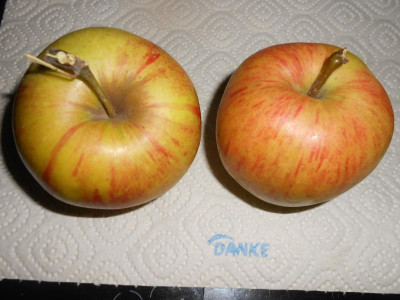 DSCN0892.JPG