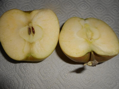 DSCN0894.JPG