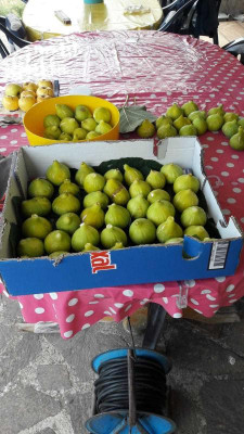 IMG-20201006-WA0003.jpg