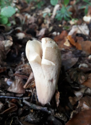20201006_224400.jpg
