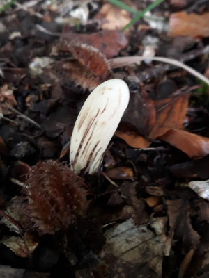 20201006_224532.jpg