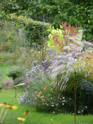 2020-10-07 Gartenimpressionen 4.jpg