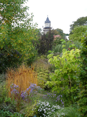 2020-10-07 Gartenimpressionen 8.jpg