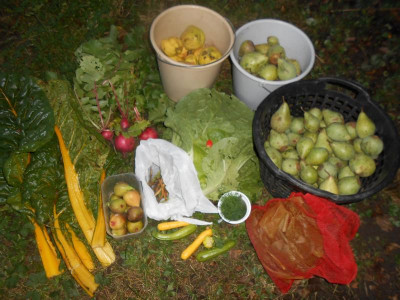 DSCN0913.JPG