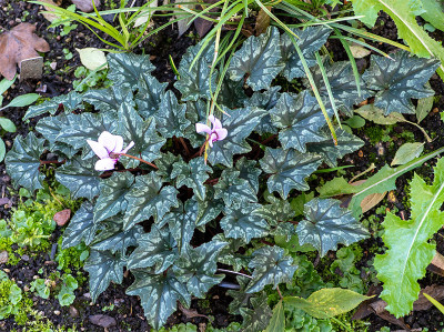 20201010_3.jpg