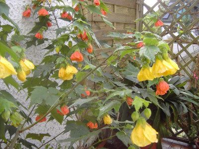 PICT3152.JPG