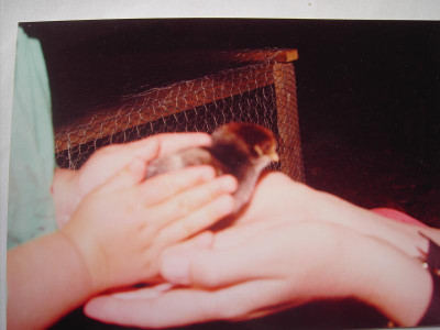 PICT3173.JPG