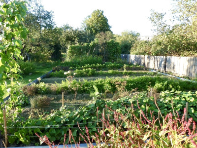 herbstgemüse.jpg