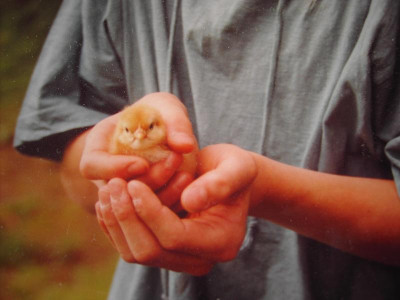 PICT3188.JPG
