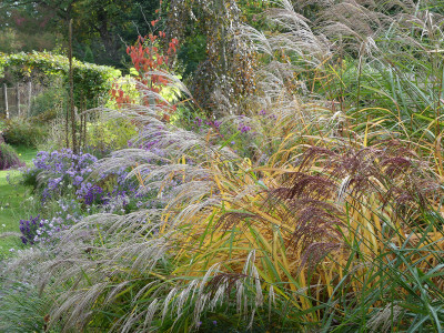 2020-10-10 Gartenimpressionen 1.jpg