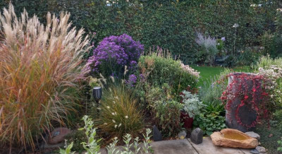 IMG_20201011_093840257_HDR~2.jpg