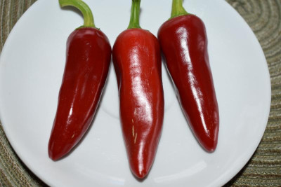 Piment d'Espelette 001.JPG