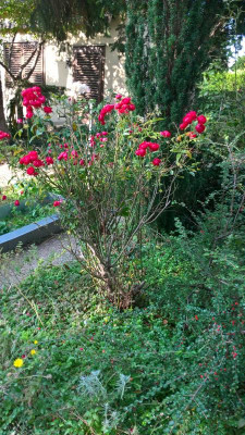 WP_20201010_16_13_37_Pro.jpg