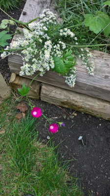 WP_20201010_16_10_24_Pro.jpg