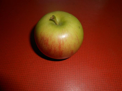 DSCN0941.JPG