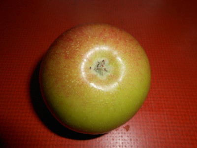DSCN0942.JPG