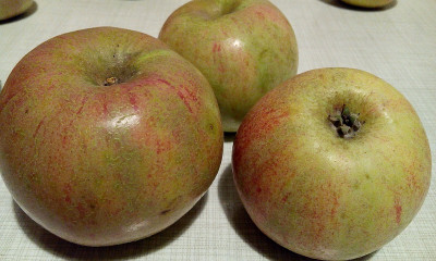 apfel_unbek_gross.jpg