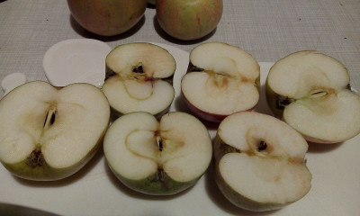 apfel_unbek_halbiert.jpg
