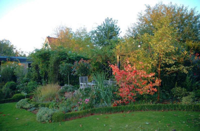 Gartenansichten_2_06-10-2007.jpg